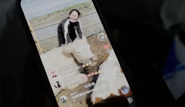 牛牪犇！“00后”女生返乡当牛倌