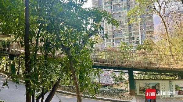 一只走红“胖豹”与2元门票的背后