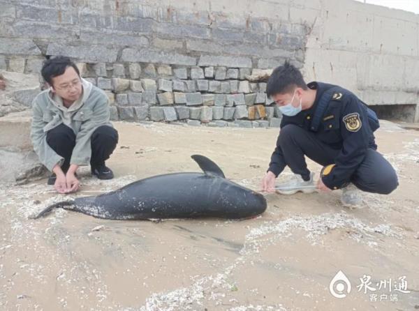已确认死亡！出现在福建海边……