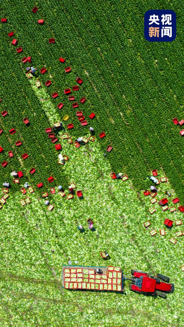 甘肃“麻”“辣”“烫”出圈秘籍，找到啦！全国推广难度加大，咋办？
