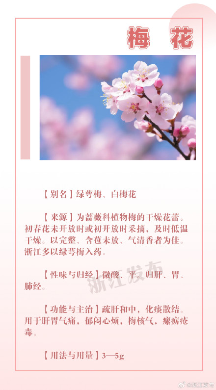 这些花草其实也是中药！看完长知识→