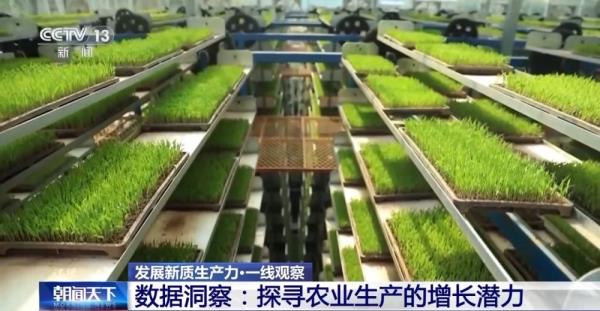 发展新质生产力·一线观察丨用代码种田！“新质生产力”下的农田可以这样酷→