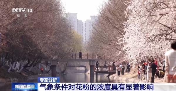 气象条件对花粉浓度有哪些影响?花粉季要注意什么?专家解答 气象条件对花粉浓度有哪些影响?花粉季要注意什么?专家解答