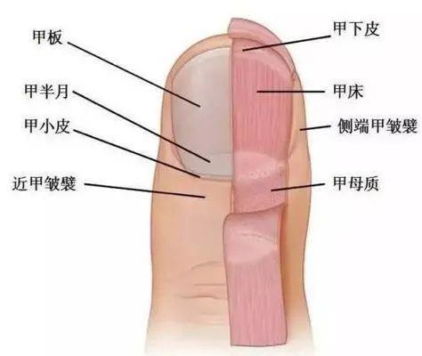 精致女孩因这个行为进医院，医生提醒