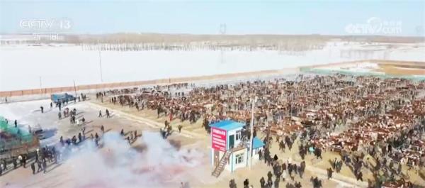 特色产业“百花齐放”带动就业促增收 擘画乡村振兴“五彩斑斓”画卷