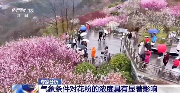 气象条件对花粉浓度有哪些影响?花粉季要注意什么?专家解答 气象条件对花粉浓度有哪些影响?花粉季要注意什么?专家解答