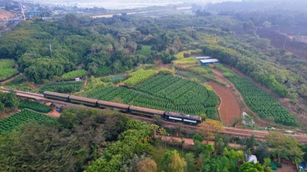 这里的火车,时速只有25公里! 这里的火车,时速只有25公里!