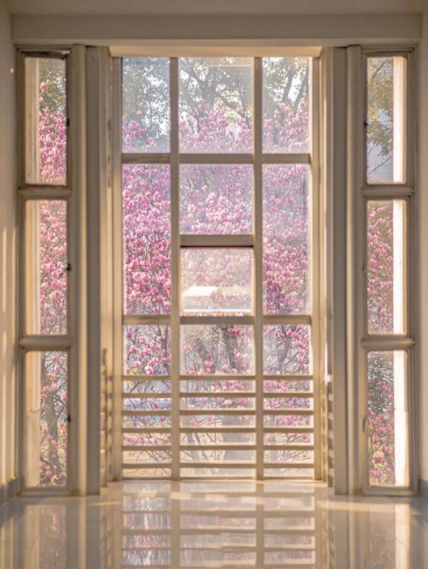 藏不住了!武大、华科、华师集中发文 藏不住了!武大、华科、华师集中发文