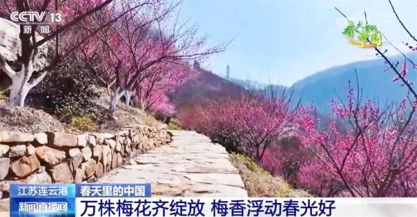 多地春暖花开展现活力图景 乡村振兴探索出融合发展“双赢”路径