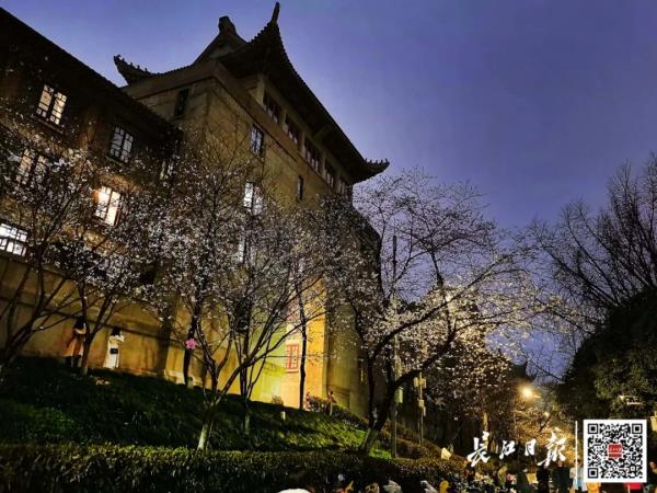 藏不住了!武大、华科、华师集中发文 藏不住了!武大、华科、华师集中发文