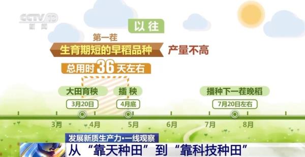 发展新质生产力·一线观察丨用代码种田！“新质生产力”下的农田可以这样酷→