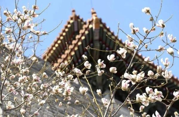 春季昼夜温差之大，为何像坐“过山车”？