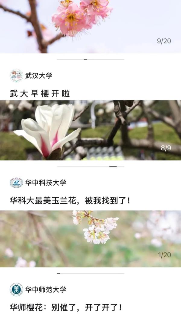 藏不住了!武大、华科、华师集中发文 藏不住了!武大、华科、华师集中发文