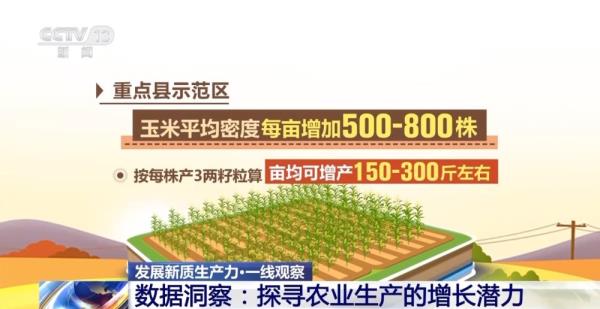 发展新质生产力·一线观察丨用代码种田！“新质生产力”下的农田可以这样酷→