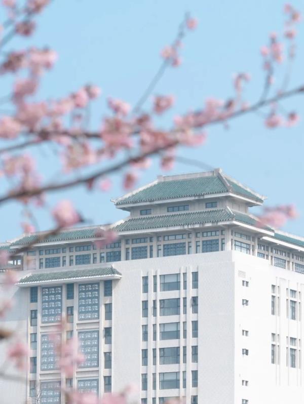 藏不住了!武大、华科、华师集中发文 藏不住了!武大、华科、华师集中发文