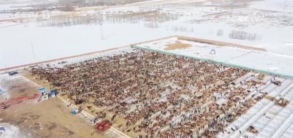 特色产业“百花齐放”带动就业促增收 擘画乡村振兴“五彩斑斓”画卷