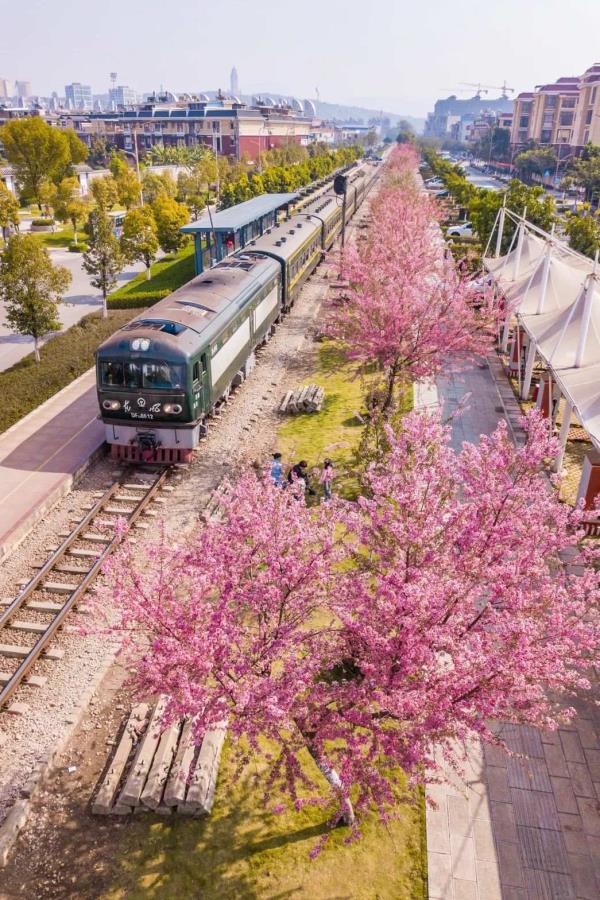 这里的火车,时速只有25公里! 这里的火车,时速只有25公里!