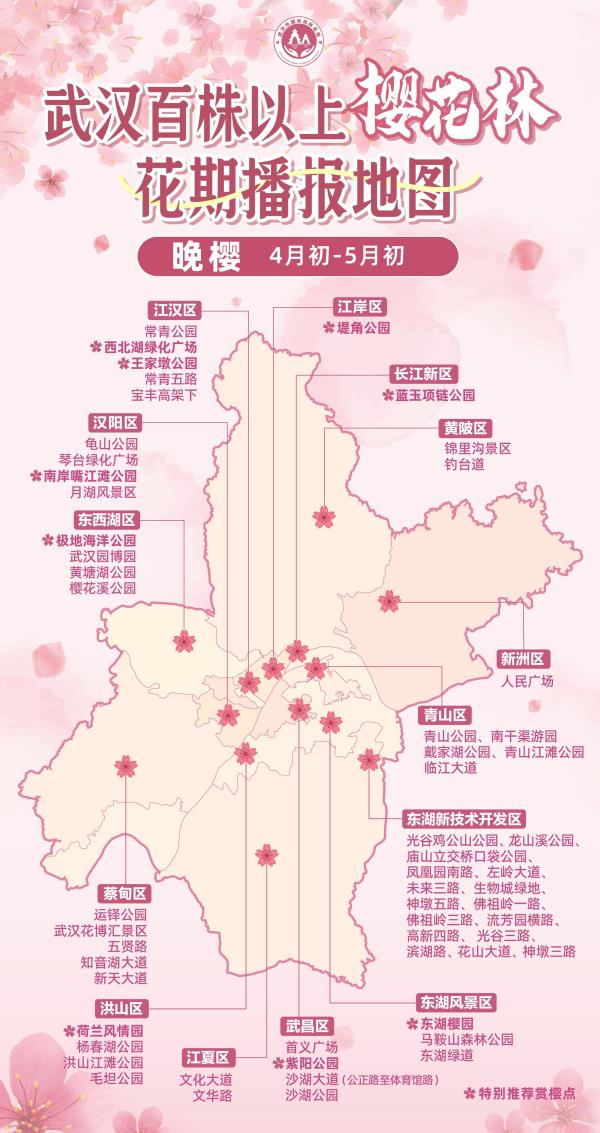 今春首迎客!武汉三大樱花景点即将上新 今春首迎客!武汉三大樱花景点即将上新
