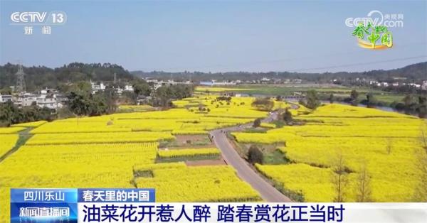 多地春暖花开展现活力图景 乡村振兴探索出融合发展“双赢”路径