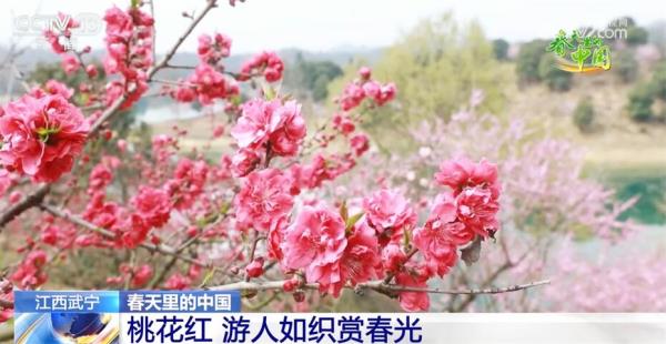 多地春暖花开展现活力图景 乡村振兴探索出融合发展“双赢”路径