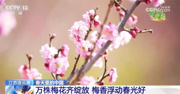 多地春暖花开展现活力图景 乡村振兴探索出融合发展“双赢”路径