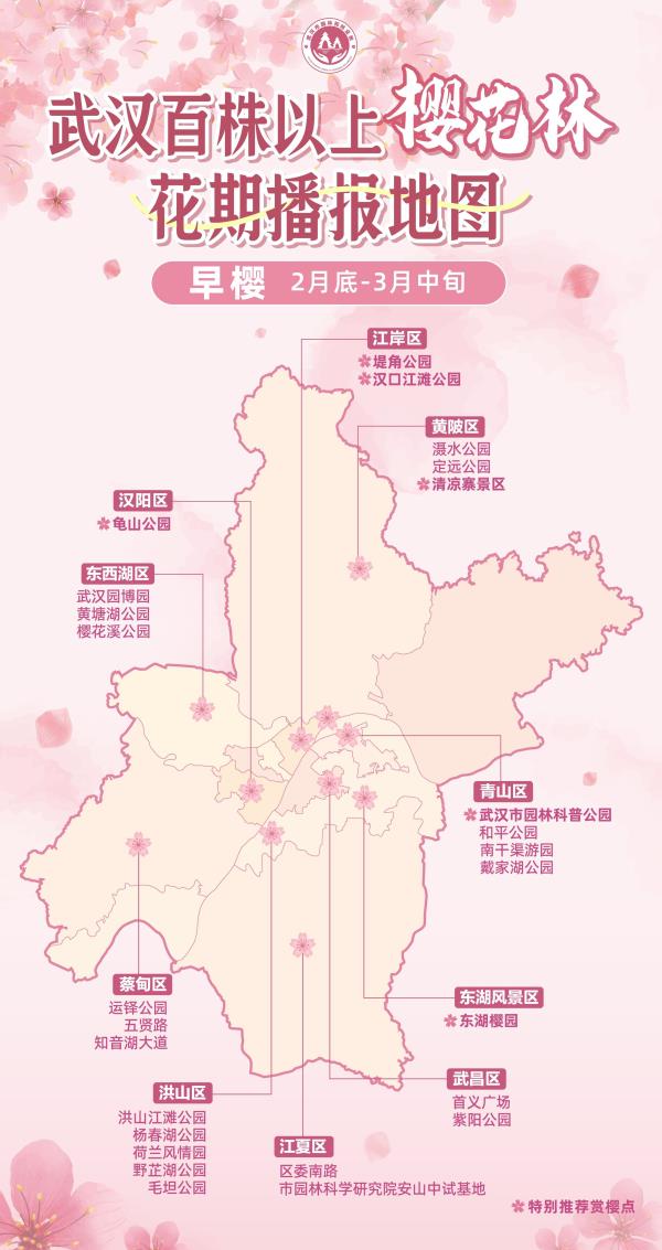 今春首迎客!武汉三大樱花景点即将上新 今春首迎客!武汉三大樱花景点即将上新