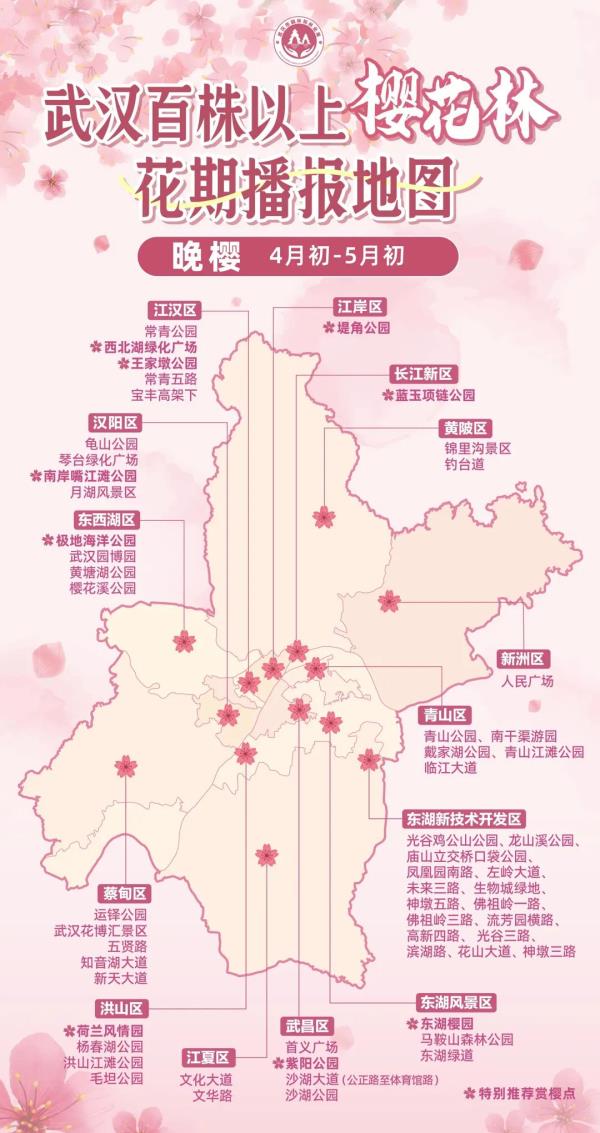 最新最全！武汉78处百株以上赏樱花期地图来啦→