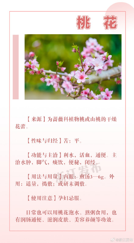 这些花草其实也是中药！看完长知识→