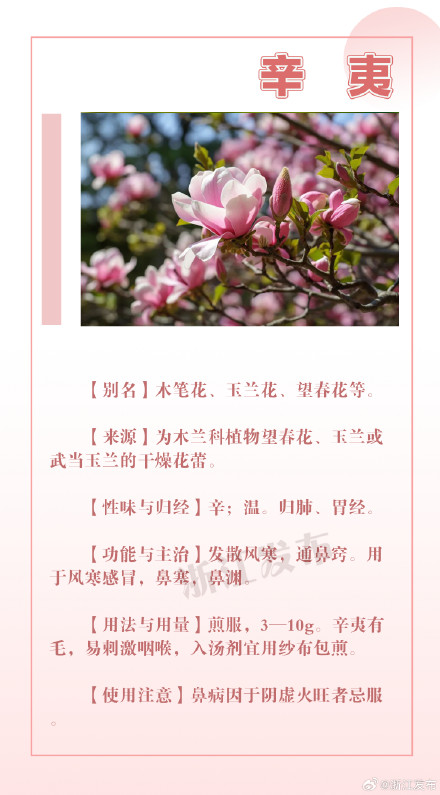 这些花草其实也是中药！看完长知识→