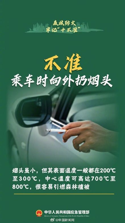 森林防火十不准请牢记 森林防火十不准请牢记