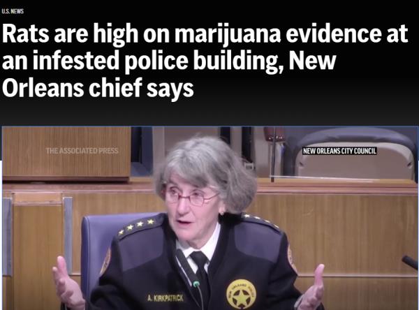 离谱！美国新奥尔良警察局长：老鼠啃食警方没收的大麻，都“嗑嗨了”