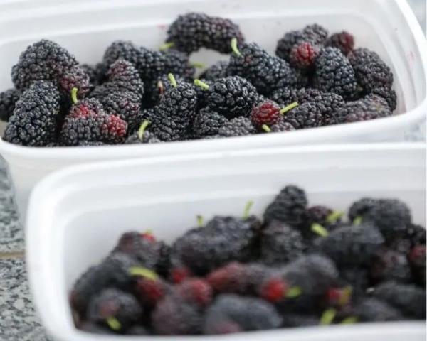 香甜已溢出屏幕，来广东吃→