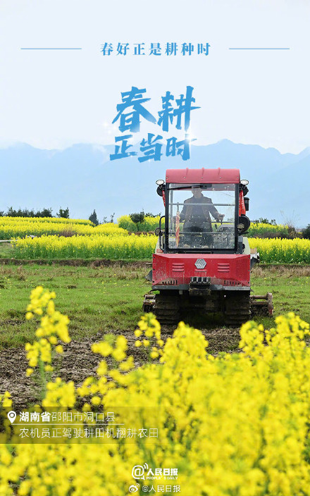 不负春光!2024中国春耕图 不负春光!2024中国春耕图