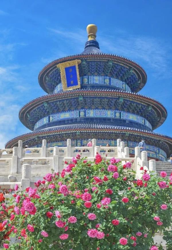 北京好天气回来了!这份北京游园赏花攻略请收好 北京好天气回来了!这份北京游园赏花攻略请收好