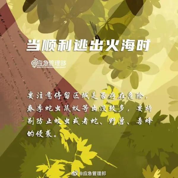 正全力控制火势蔓延!国道318线、248线这些路段全封闭 正全力控制火势蔓延!国道318线、248线这些路段全封闭