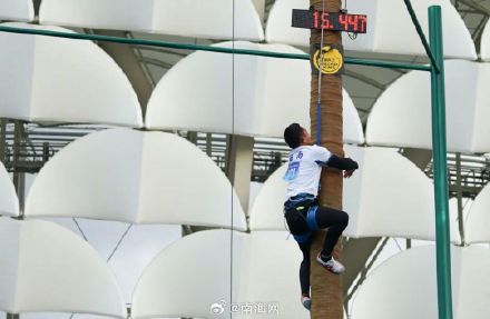 爬树也有比赛？海南这群高手藏不住了！