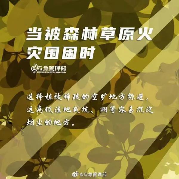 正全力控制火势蔓延!国道318线、248线这些路段全封闭 正全力控制火势蔓延!国道318线、248线这些路段全封闭