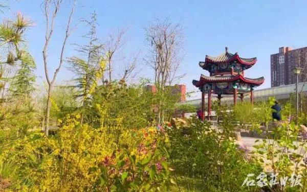 花开正当时 石家庄公园广场春季赏花指南来啦