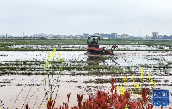 春分将至农事忙 春分将至农事忙