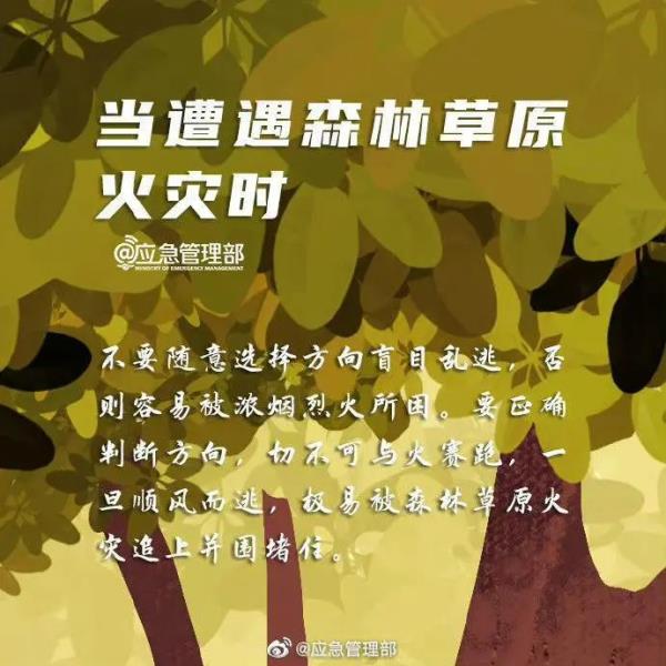 正全力控制火势蔓延!国道318线、248线这些路段全封闭 正全力控制火势蔓延!国道318线、248线这些路段全封闭