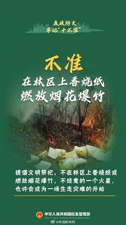 森林防火十不准请牢记 森林防火十不准请牢记