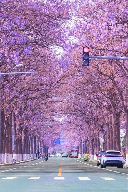 北京好天气回来了!这份北京游园赏花攻略请收好 北京好天气回来了!这份北京游园赏花攻略请收好