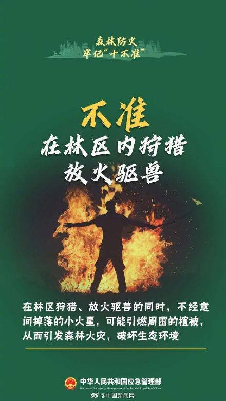 森林防火十不准请牢记 森林防火十不准请牢记