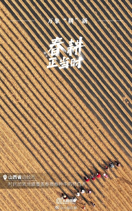 不负春光!2024中国春耕图 不负春光!2024中国春耕图