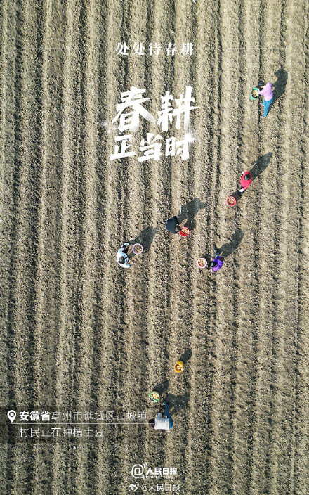 不负春光!2024中国春耕图 不负春光!2024中国春耕图