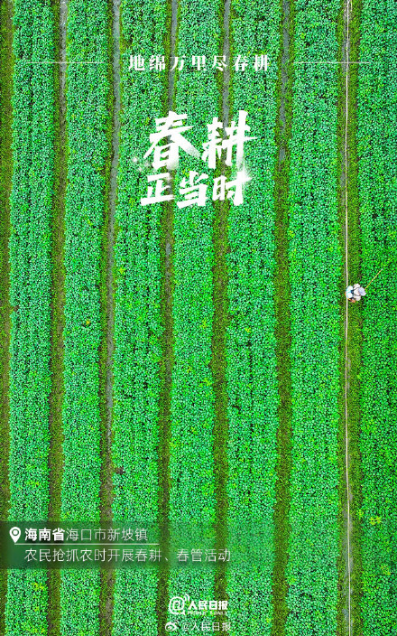 不负春光!2024中国春耕图 不负春光!2024中国春耕图