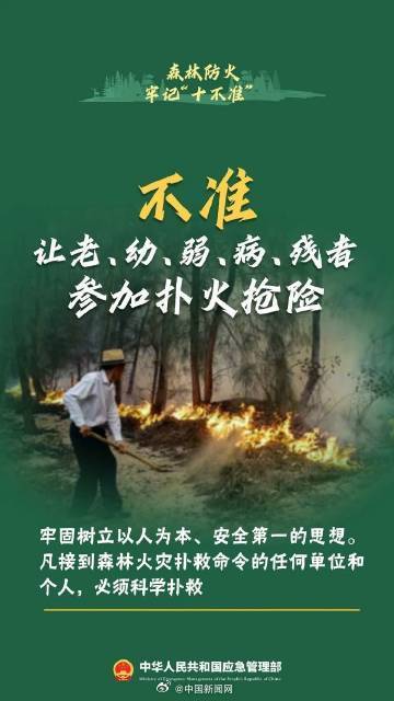 森林防火十不准请牢记 森林防火十不准请牢记