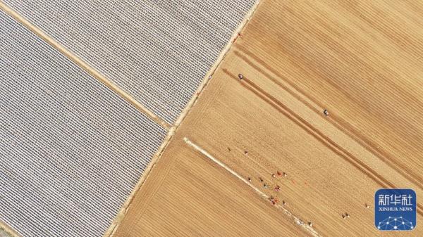 春分将至农事忙 春分将至农事忙