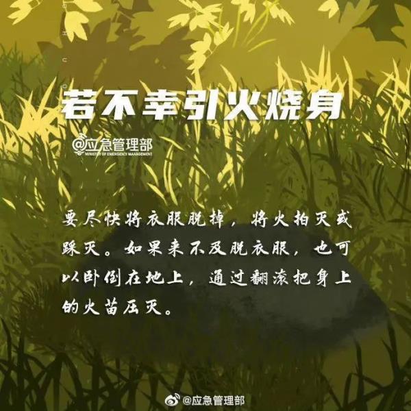 正全力控制火势蔓延!国道318线、248线这些路段全封闭 正全力控制火势蔓延!国道318线、248线这些路段全封闭