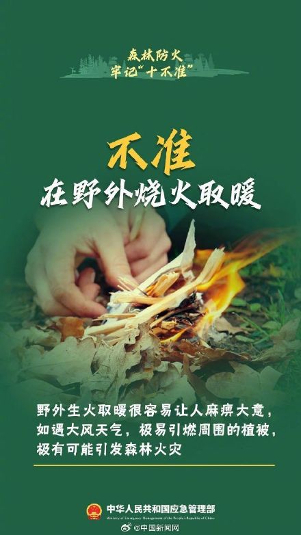 森林防火十不准请牢记 森林防火十不准请牢记